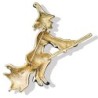 Witch on the broom - broochBrooches