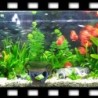 Resin vase with moss - aquarium decorationDecorations
