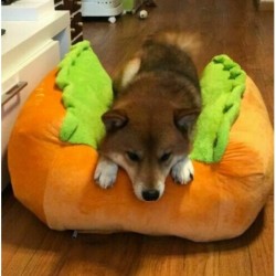 Warm dog / cat bed - soft cushion - hot-dogBeds & mats