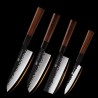FINDKING - professional kitchen knives - set 4 piecesSteel