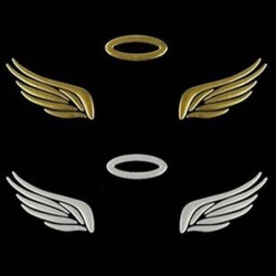 3D car sticker - angel wingsStickers