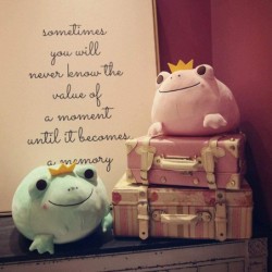 Frog with a crown - plush toy / pillowCuddly toys