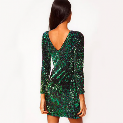 Green sequin mini dressDresses