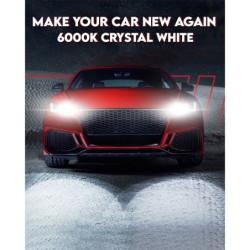 D2S - Xenon HID light - headlight bulb - 35W - 2 piecesXenon