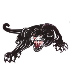 Black tiger - vinyl car stickerStickers