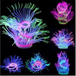 Aquarium decoration - silicone luminous sea anemoneDecorations