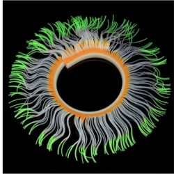 Aquarium decoration - silicone luminous sea anemoneDecorations