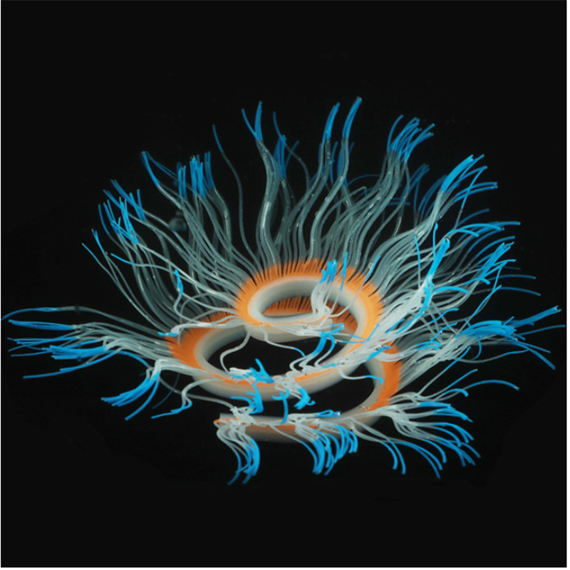 Aquarium decoration - silicone luminous sea anemoneDecorations