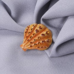 Crystal shell - elegant broochBrooches