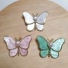 Shell butterfly with pearl - broochBrooches