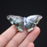 Pearl shell butterfly - broochBrooches