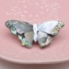 Pearl shell butterfly - broochBrooches