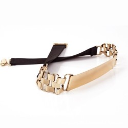 Fashion elastic belt - with metal golden decorationBelts
