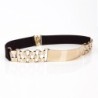 Fashion elastic belt - with metal golden decorationBelts