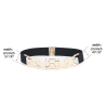 Fashionable elastic belt - with metal gold decorative chainBelts