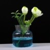 Transparent glass vaseInterior