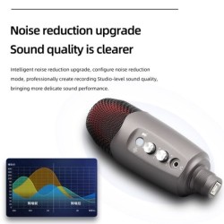 Professional condenser microphone - with headphone output - USBMicrophones