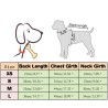 Warm dogs / cats vest - padded jacket with zipperClothing & shoes
