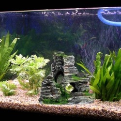 Resin rock cave - aquarium decorationDecorations