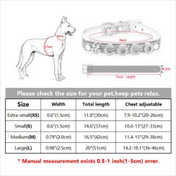 Dogs / cats collar - with crystal name and charm - customCollars & Leads