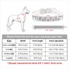 Dogs / cats collar - with crystal name and charm - customCollars & Leads