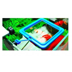 Aquarium fish food feederAquarium