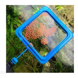 Aquarium fish food feederAquarium