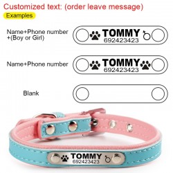 Dogs / cats collar - ID Tag - personalized - engraved - leatherCollar & Leads