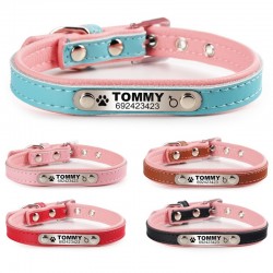 Dogs / cats collar - ID Tag - personalized - engraved - leatherCollar & Leads