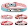 Dogs / cats collar - ID Tag - personalized - engraved - leatherCollar & Leads