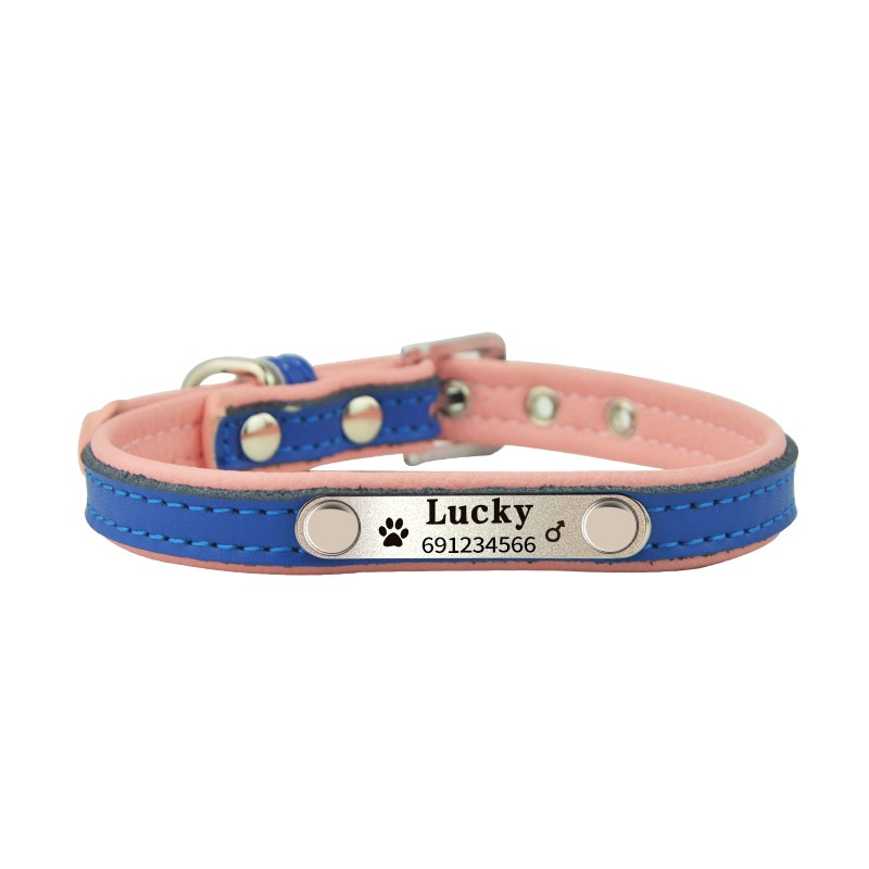 Dogs / cats collar - ID Tag - personalized - engraved - leatherCollar & Leads Dogs / cats collar - ID Tag - personalized - engraved - leatherCollar & Leads