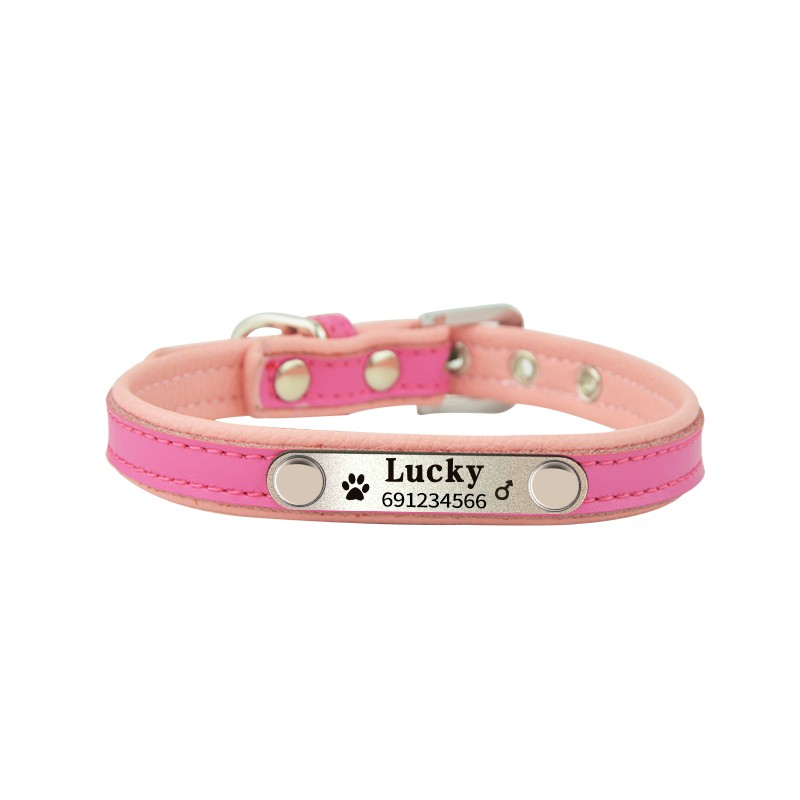 Dogs / cats collar - ID Tag - personalized - engraved - leatherCollar & Leads Dogs / cats collar - ID Tag - personalized - engraved - leatherCollar & Leads