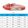Dogs / cats collar - ID Tag - personalized - engraved - leatherCollar & Leads