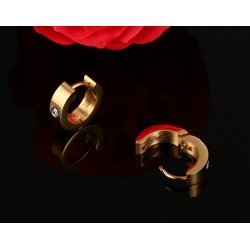 Small hoops earrings - with zirconia - stainless steelEarrings