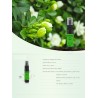 Gardenia fragrance - body spray - perfume - 10 mlPerfumes