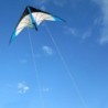 Triangle shaped kite - with double line / handleKites