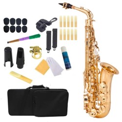 Professional saxophone - key-Eb Alto - with case / accessoriesSaxophones
