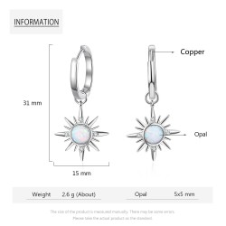 Round earrings with a star / opalEarrings