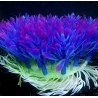 Artificial plastic plant - purple flower - aquarium decorationDecorations