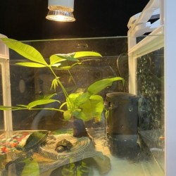 Low water filter pump - hanging waterfall - water circulation - for aquariumAquarium