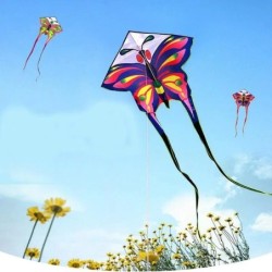 Large butteryfly kite - 150cmKites