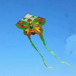 Large butteryfly kite - 150cmKites