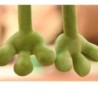 Cute sleepy frog - plush toy - 37-50cmCuddly toys