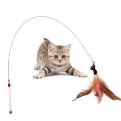 Kitten Pet Teaser Feather Wire ToyAnimals & Pets