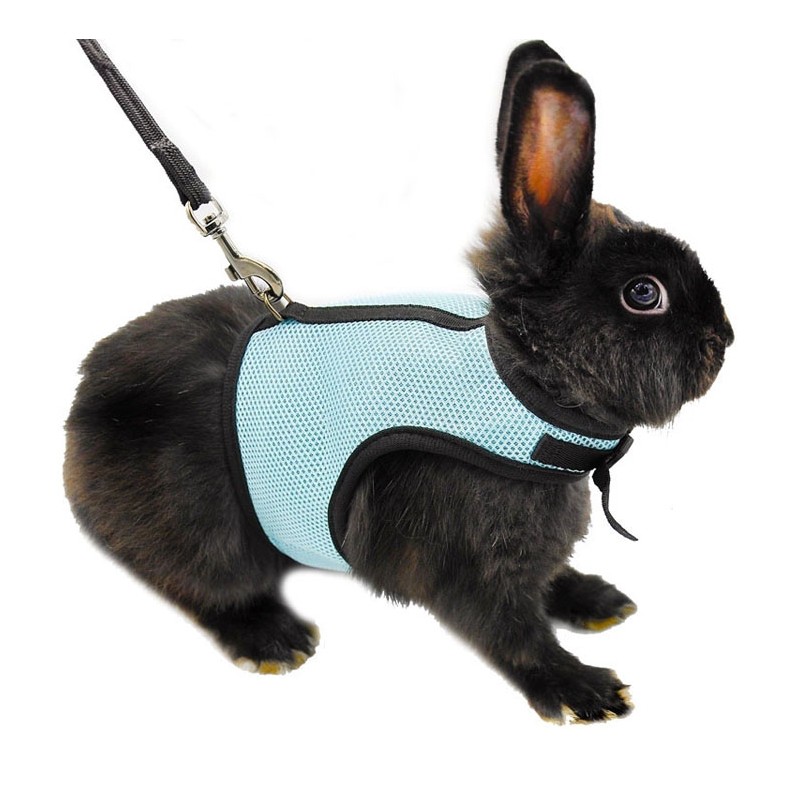 Hamster Rabbit Harness & Leash SetAnimals & Pets