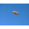 Colorful bee - nylon mite - 3 meterKites