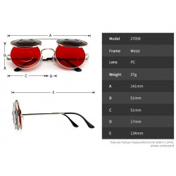 Steampunk Vintage Round Double Lens Sunglasses UnisexSunglasses