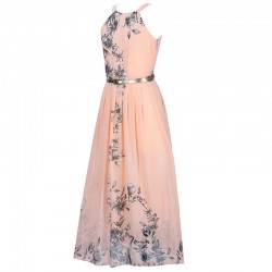 Chiffon floral print maxi dressDresses
