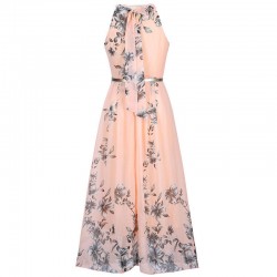 Chiffon floral print maxi dressDresses