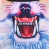 3D animal windproof balaclava full face maskHats & Caps